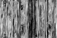 Monochromatic Fine Art Print