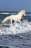 Andalusian Sea Fine Art Print