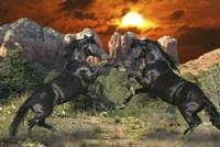 Black Magic Fine Art Print