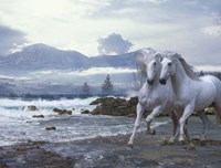 Cold Mountain Fine Art Print