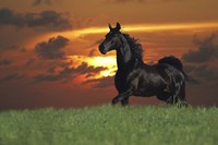 Distant Thunder Fine Art Print