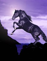 Leap Of Faith Fine Art Print