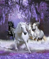 Stampede Fine Art Print