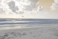 Serene Sea I Fine Art Print