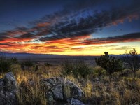 Sunset in the Desert IV Fine Art Print