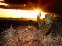 Sunset in the Desert V Framed Print