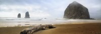 From Cannon Beach II Fine Art Print