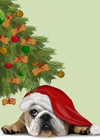 English Bulldog, Cookie Tree Fine Art Print