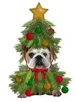 English Bulldog, Christmas Tree Costume Fine Art Print