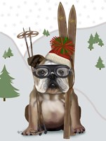 English Bulldog, Skiing Fine Art Print