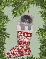 Grey Kitten in Christmas Stocking Fine Art Print