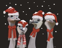 Ostrich, Christmas Gals Fine Art Print