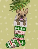 French Bulldog in Christmas Stocking Fine Art Print