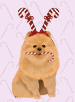 Pomeranian and Candy Canes Fine Art Print