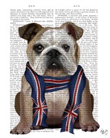 English Bulldog with Scarf Fine Art Print