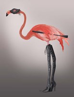 Flamingo with Kinky Boots Framed Print