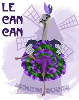 Ostrich, Can Can in Purple and Green Fine Art Print