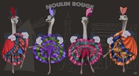 Ostrich, Can Can Troupe Fine Art Print