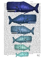 Blue Whale Family Fine Art Print