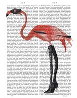 Flamingo with Kinky Boots Fine Art Print