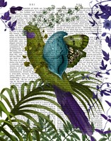 Fantasy Parrot 1 Fine Art Print