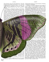Butterfly in Green and Pink b Fine Art Print