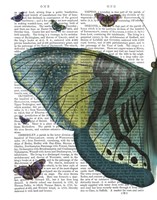 Butterfly in Turquoise and Yellow a Fine Art Print