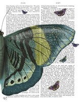 Butterfly in Turquoise and Yellow b Fine Art Print