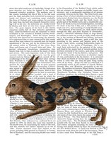 Hare and Black Leaves Fine Art Print