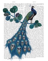 Peacock Soul Gatherer Fine Art Print