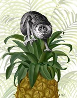 Loris on Pineapple Fine Art Print