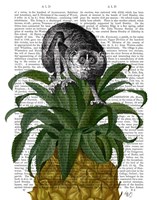 Loris on Pineapple Fine Art Print