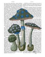 Psychedelic Mushrooms 1 Fine Art Print
