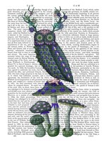 Owl on Mushrooms Fine Art Print