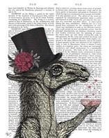 Llama Lush 1 Fine Art Print