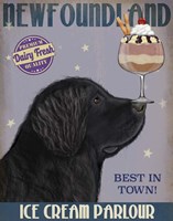 Newfoundland Ice Cream Fine Art Print