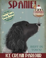 Springer Spaniel, Black, Bebe,Ice Cream Fine Art Print