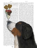 Bernese Ice Cream Fine Art Print