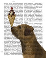 Border Terrier Ice Cream Fine Art Print