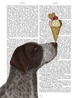 German Shorthaired Pointer Ice Cream Fine Art Print