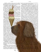 Labradoodle, Brown, Ice Cream Fine Art Print