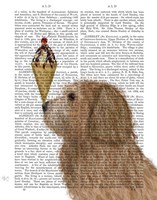Labradoodle, Golden, Ice Cream Fine Art Print