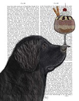 Newfoundland Ice Cream Fine Art Print