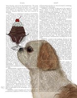 Shih Tzu Ice Cream Fine Art Print