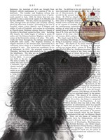 Springer Spaniel, Black, Bebe,Ice Cream Fine Art Print