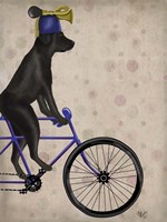 Black Labrador on Bicycle Fine Art Print