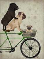 Pugs on Bicycle Fine Art Print