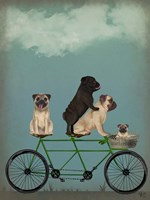 Pug Tandem Fine Art Print