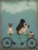 Pug Tandem Fine Art Print