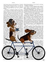 Basset Hound Tandem Fine Art Print